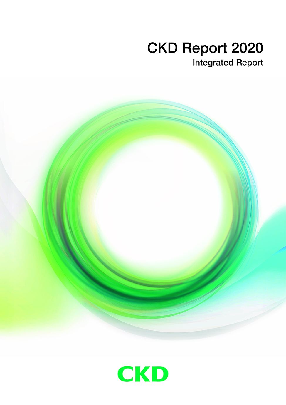 CKD Report
